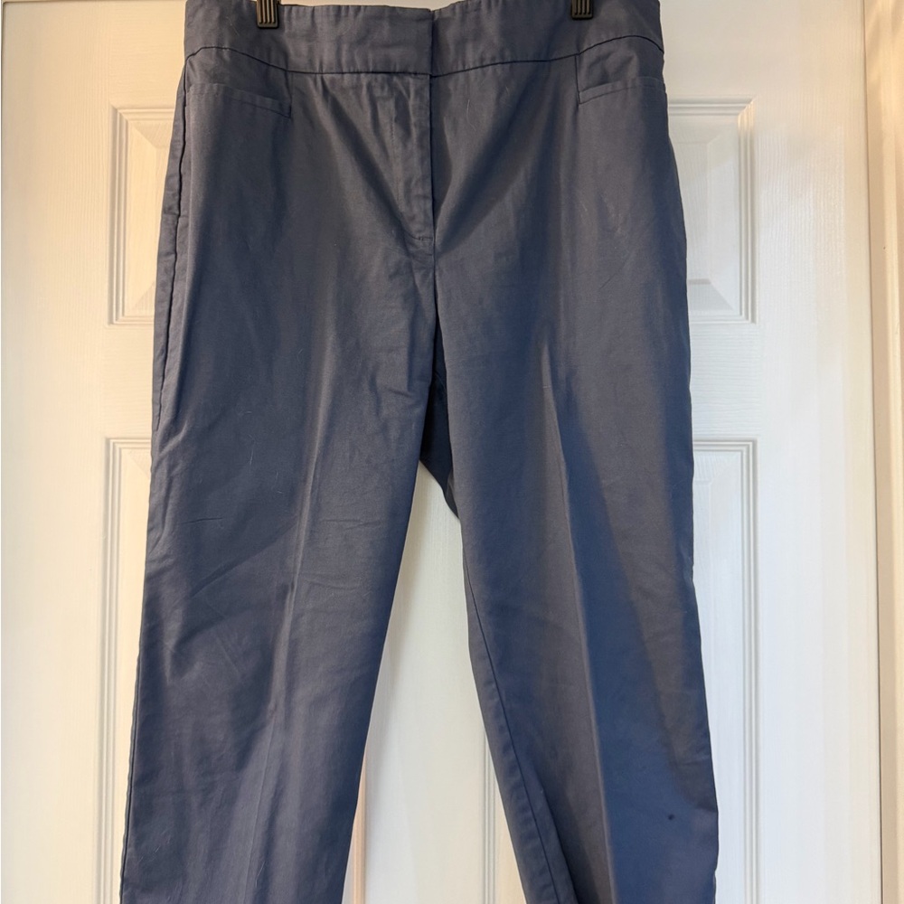 Ann Taylor Factory Petite Trousers